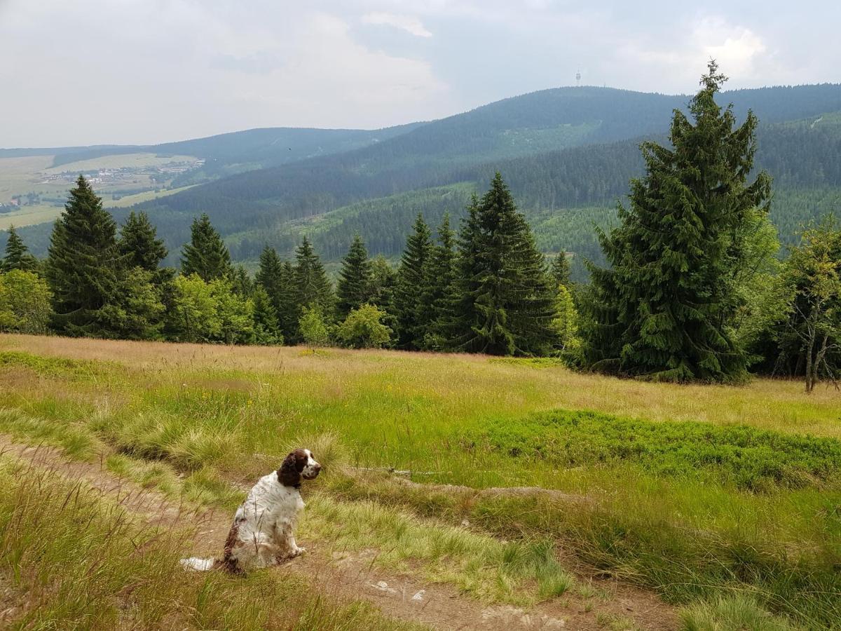 Ferienwohnung Grenzblick Oberwiesenthal Zewnętrze zdjęcie